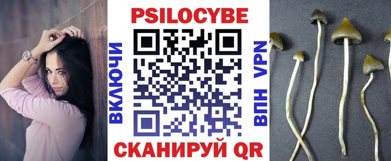 закладки  Химки  Псилоцибиновые грибы мицелий 